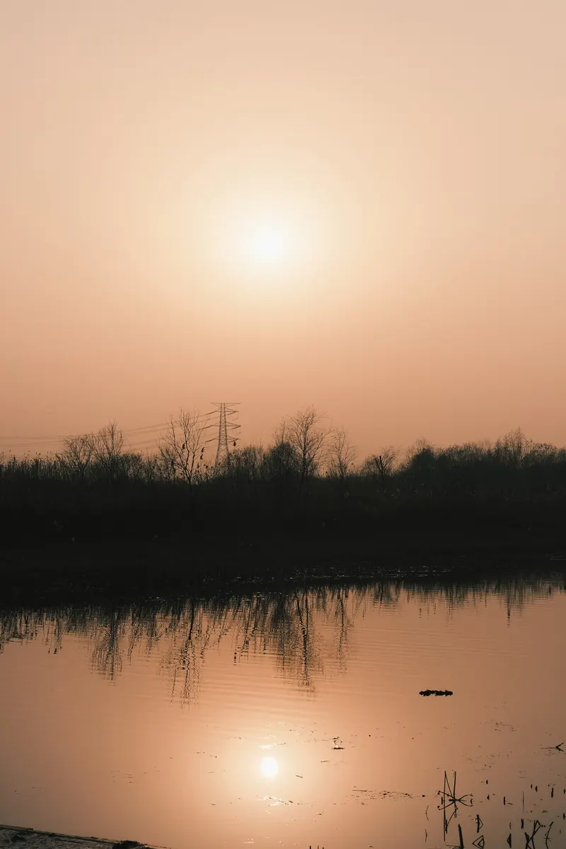Photograph 24