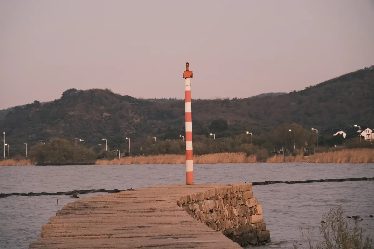 Photograph 25