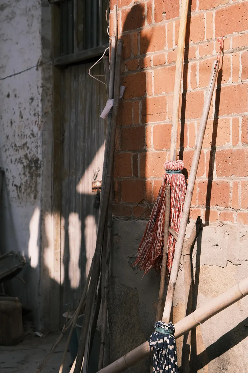 Photograph 13