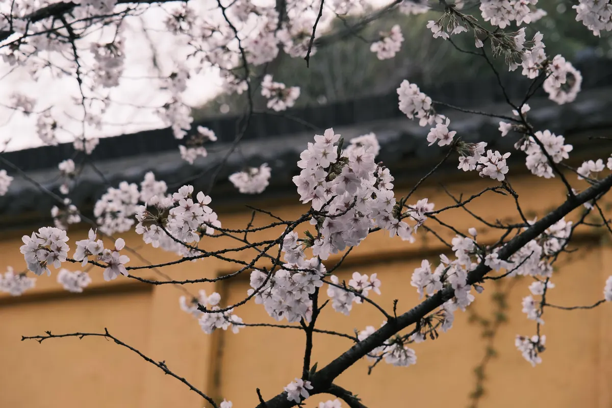 Photograph 8