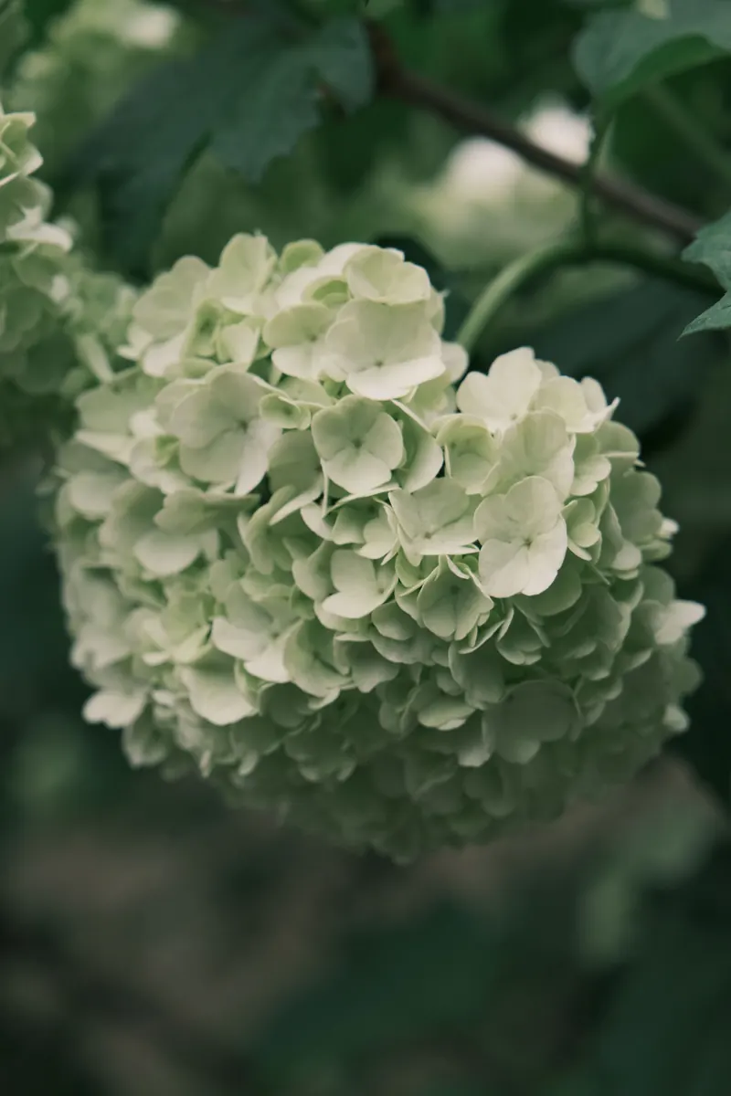 Photograph 19