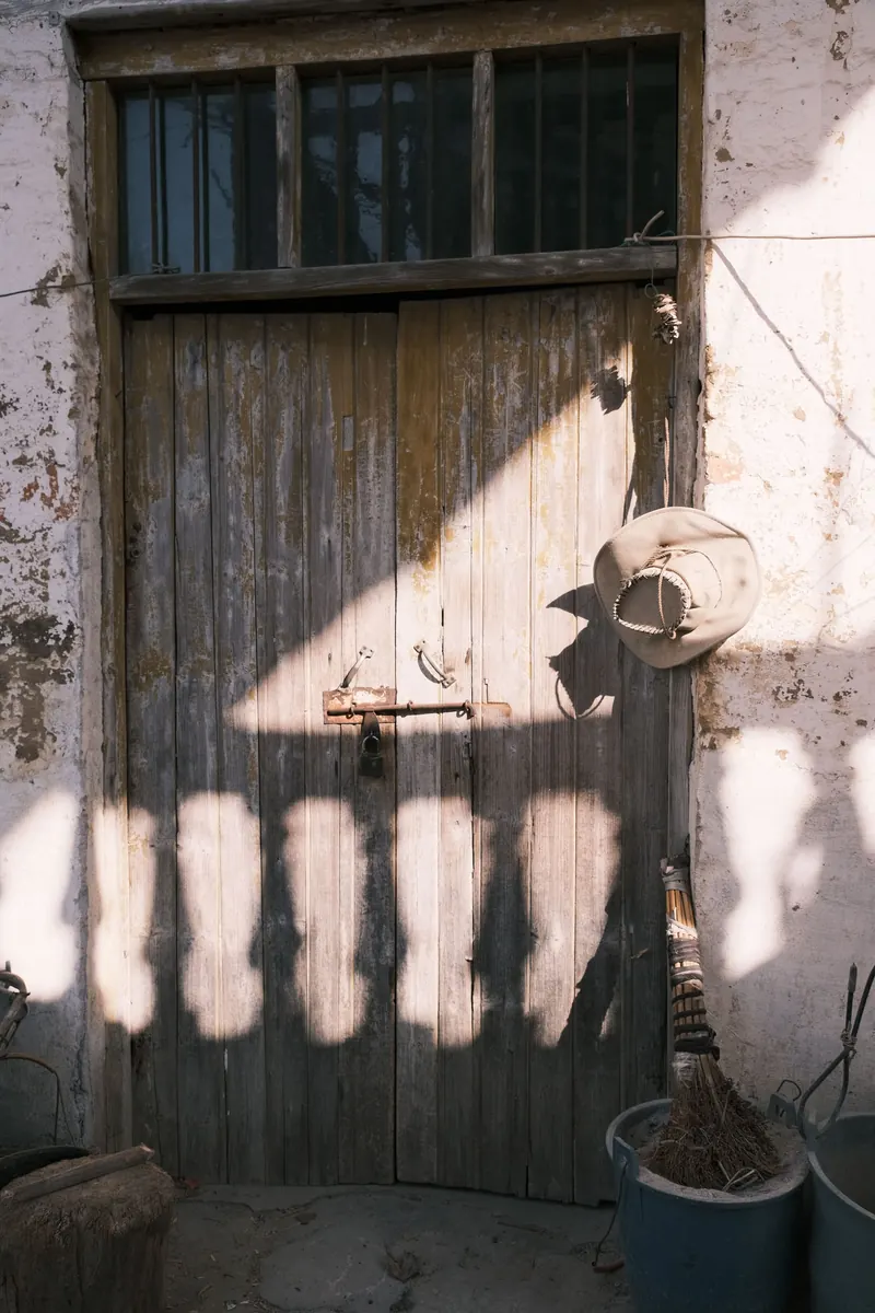 Photograph 16
